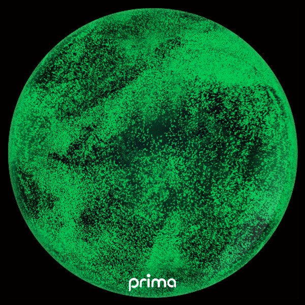 20 inch Green Glow In The Dark Glitter Clear Sphere Balloon