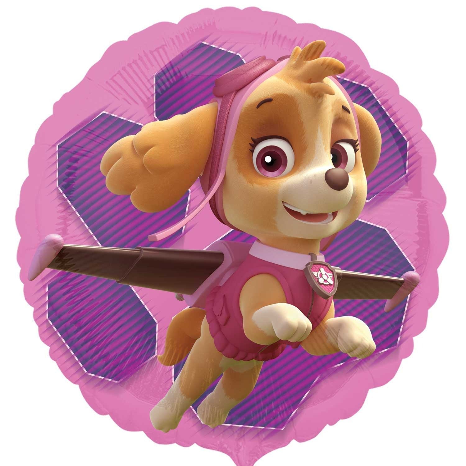 Amscan 18 inch Paw Patrol Skye & Everest Foil Balloon skye_34088
