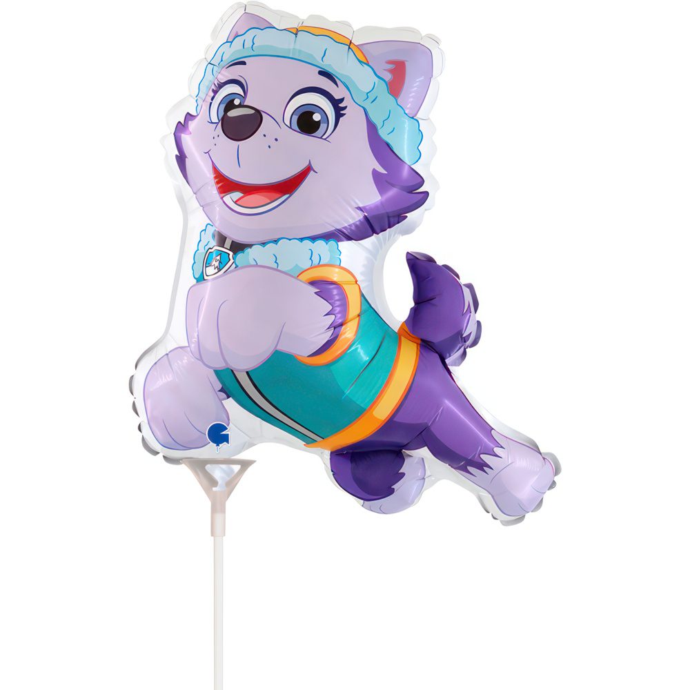 Grabo 14 inch Paw Patrol Everest mini (Air Filled) _l713-paw-patrol-everest-mini-b
