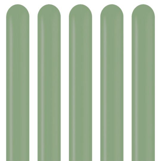 Kalisan Retro Eucalyptus 260 Modelling Latex Balloons