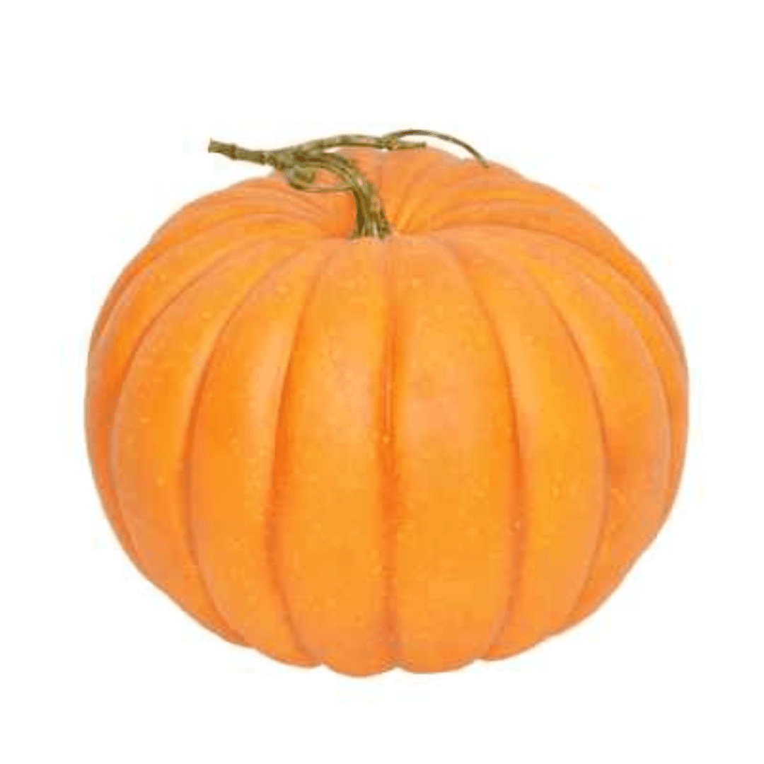 Orange Pumpkin_rsz_0_400_GB523JC.png